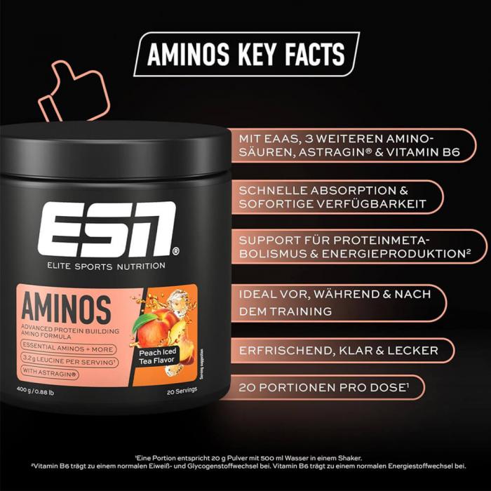 ESN Aminos - 400g